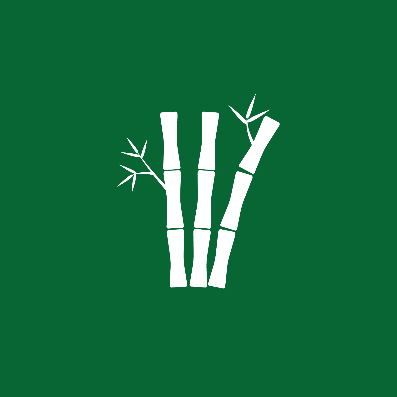 II CONGRESO INTERNACIONAL DEL BAMBÚ