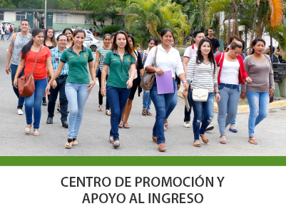 docentes1