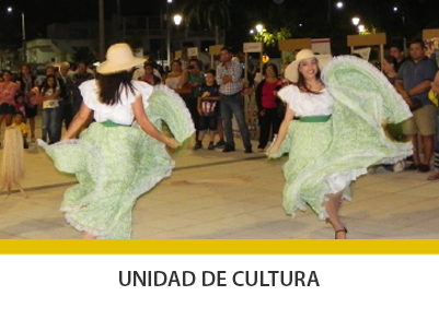 docentes1