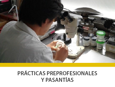 docentes1