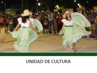 docentes1